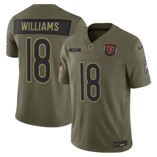 Chicago Bears 2025 Salute to Service Vapor Limited Jersey - All Stitched